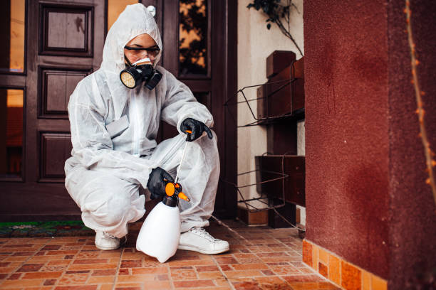 Reliable Wasp Removal contractor in Woodcliff Lake, NJ by Show Me Pest Control